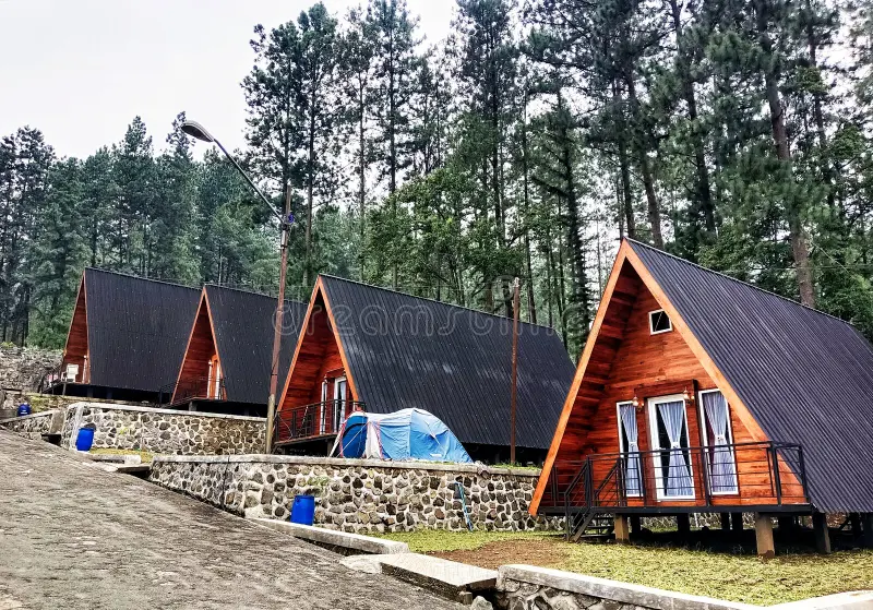 Discover Our New Homestay